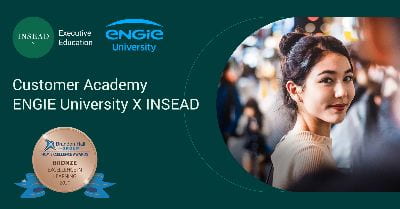 INSEAD Wins Brandon Hall Bronze Award for Excellence in Learning